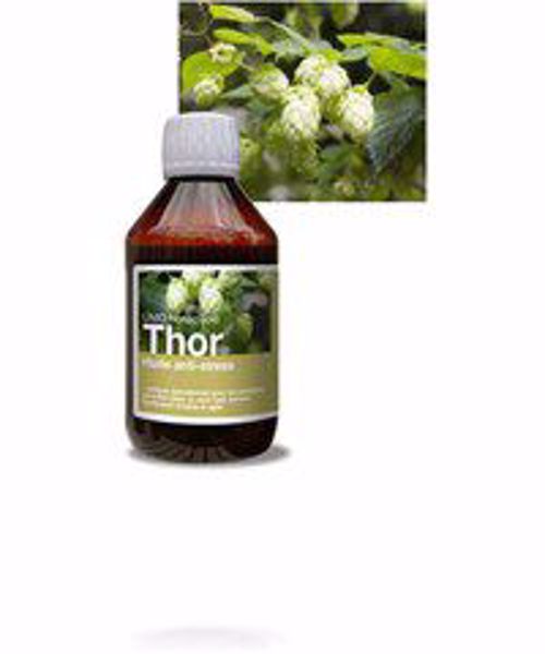 Thor Antistress Olie 250 ml.