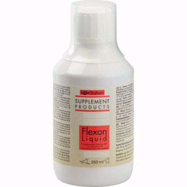 Flexon Liquid 250 ml.(Glucosamin)
