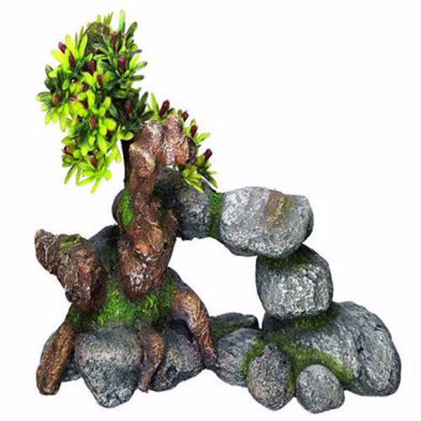 Bonsai on Stone 19x9x13 cm.