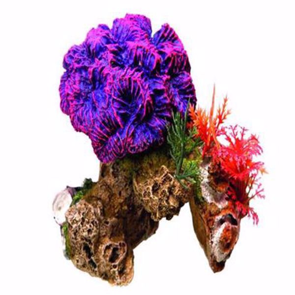 Koral på sten 13x10x12 cm.