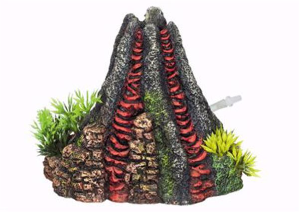 Vulkan med planter 14x13x2,5 cm.