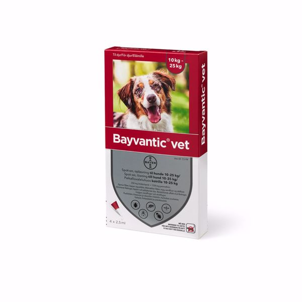 Bayvantic Vet Hund 10-25 kg 4x2,5 ml.