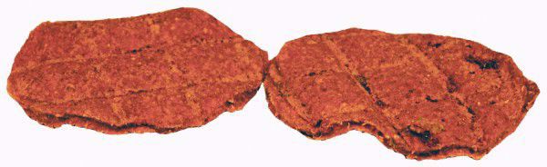 Vomburger (Kallun)