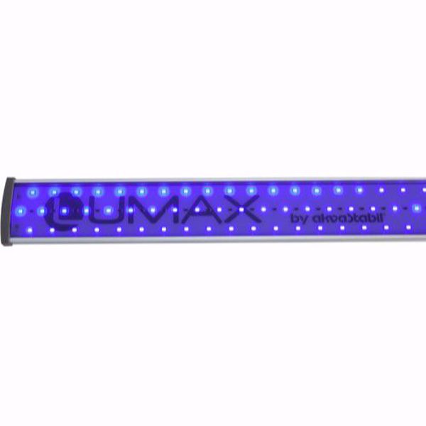LUMAX LED 123 cm 38W Blue