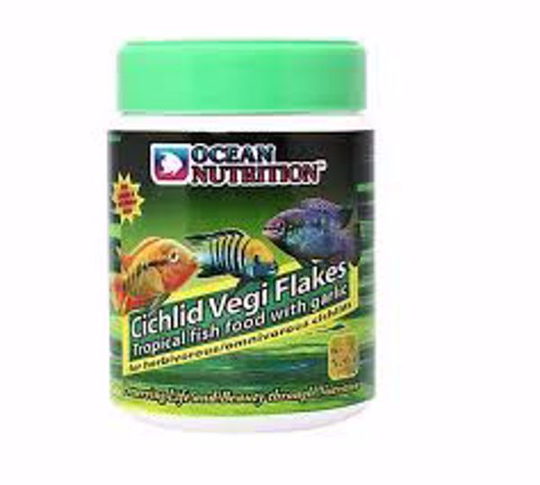 ON Cichlid Vegi Flake 34 gr.