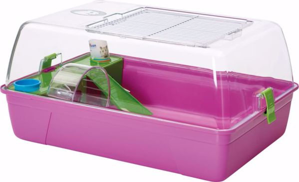 Rody Hamster L55xB39xH26 cm.