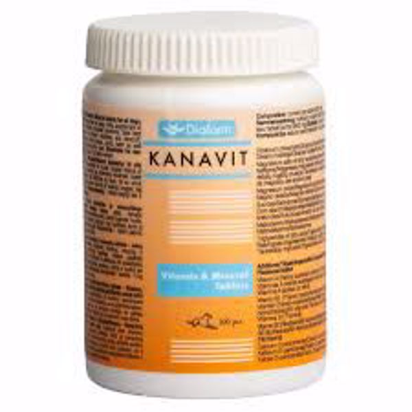 Diafarm Kanavit Vitamin 100 stk.