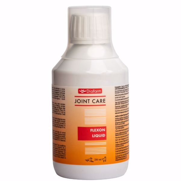 Diafarm Flexon Liquid 250 ml. (Glucosamin)